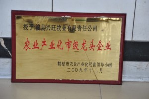 農(nóng)業(yè)產(chǎn)業(yè)化市級龍頭企業(yè)